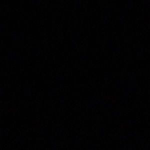 Meet your Posher, Isabella